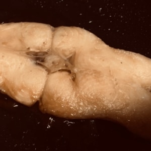 あぶらカレイの煮付け レシピ 作り方 By 影山美咲 楽天レシピ あぶらカレイの煮付け レシピ 作り方 By 影山美咲 楽天レシピ